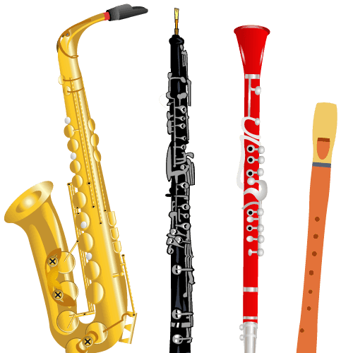 Blockflöte, Querflöte, Klarinette, Oboe, Fagott, Traversflöte und Saxophon lernen | JMS Unterricht