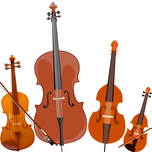 Violine, Viola, Violoncello und Kontrabass lernen | JMS Unterricht